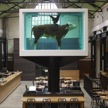 Guides to Top 10 Best Restaurants in Shoreditch, London