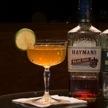 Guides to Top 10 Best Gin Bars in London