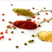 Guides to Top 10 Best Indian Restaurants in London for Indian Food